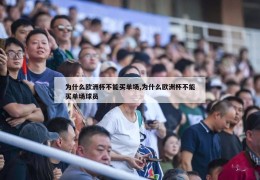 为什么欧洲杯不能买单场,为什么欧洲杯不能买单场球员