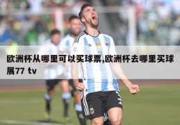 欧洲杯从哪里可以买球票,欧洲杯去哪里买球展77 tv