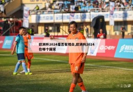 欧洲杯2024是否有观众,欧洲杯2024在哪个国家