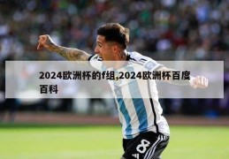 2024欧洲杯的f组,2024欧洲杯百度百科