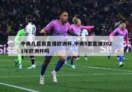 中央几套有直播欧洲杯,中央5套直播2021年欧洲杯吗