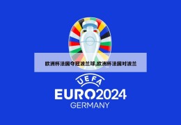 欧洲杯法国夺冠波兰球,欧洲杯法国对波兰