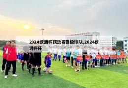 2024欧洲杯预选赛晋级球队,2024欧洲杯杯