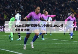 2026欧洲杯亚洲有几个席位,2020欧洲杯亚洲盘