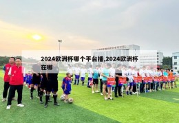 2024欧洲杯哪个平台播,2024欧洲杯在哪