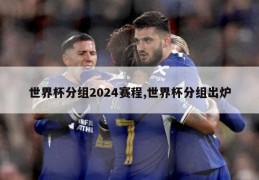 世界杯分组2024赛程,世界杯分组出炉