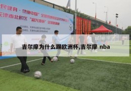 吉尔摩为什么踢欧洲杯,吉尔摩 nba