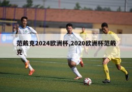 范戴克2024欧洲杯,2020欧洲杯范戴克