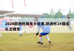 2024欧洲杯捷克小组赛,欧洲杯24强巡礼之捷克