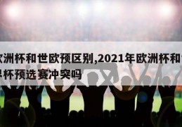 欧洲杯和世欧预区别,2021年欧洲杯和世界杯预选赛冲突吗