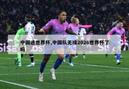 中国进世界杯,中国队无缘2026世界杯了吗