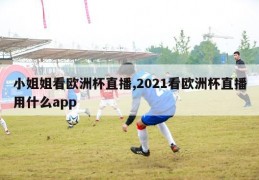 小姐姐看欧洲杯直播,2021看欧洲杯直播用什么app