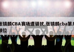 张镇麟CBA赛场遭骚扰,张镇麟cba第几顺位